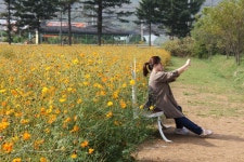 여행이야기 : 경기관광포털