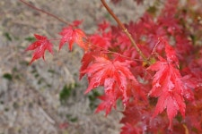 여행이야기 : 경기관광포털