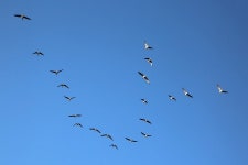 여행이야기 : 경기관광포털