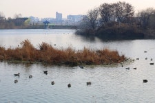   수원여행, 서호공원에서 만난 겨울풍경