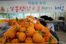 여행이야기 : 경기관광포털