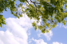   함께 소풍 가요, 하남 ‘미사리 경정 공원’으로 ~