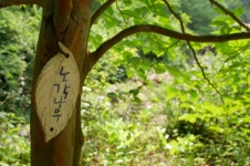 여행이야기 : 경기관광포털