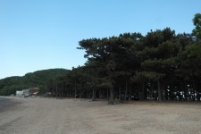 여행이야기 : 경기관광포털