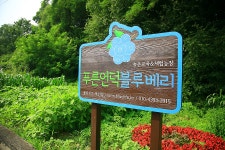 여행이야기 : 경기관광포털