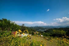 오토캠핑장 : 경기관광포털