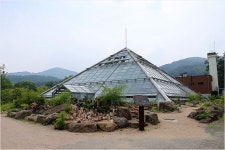   포천여행 -초록가득한 광릉수목원