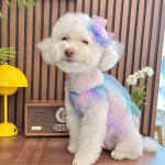 강아지 패션 > 오로라 시스루 리본핀 2COLOR 강아지머리핀 헤어핀 | 오늘의집 쇼핑 오로라 시스루 리본핀 2COLOR 강아지머리핀 헤어핀