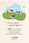 MAEIL-[매일]상하목장 유기농 그릭요거트 2종 80g 16개입│삼성물산 온라인몰 SSF Shop [매일]상하목장 유기농 그릭요거트 2종 80g 16개입