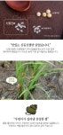 2017년산 동군산농협 신동진쌀 20kg상품상세_동원몰