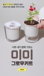 [꿈쟁이] 미미 그로우키트 - 봉선화 키우기 | 갓피플몰 [꿈쟁이] 미미 그로우키트 - 봉선화 키우기 [갓피플몰]