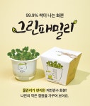 [한정특가] 꿈쟁이 그린패밀리-99.9% 싹이나는 화분 (캣잎) 식물키우기 저면관수화분 - 레드포인트