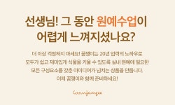 집에서 가꾸는 베지가든 텃밭세트 (4종/택1) 방울토마토,적상추,바질,고추,청상추 | 레드포인트