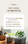POOM | 집에서 가꾸는 베지가든 텃밭세트 (4종,택1) 집에서 가꾸는 베지가든 텃밭세트 (4종,택1)