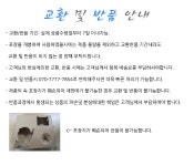 써니버블 과탄산소다 3kg + 3kg  세탁세제 주방세제상품상세_동원몰
