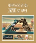POOM | ANF 독 러브미 비프&치즈 100g 강아지캔 ANF 독 러브미 비프&치즈 100g 강아지캔
