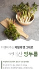 [미식한가] 국내산 땅두릅 500g x 4팩 - NS홈쇼핑