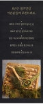 [더조은] 풍기인삼 6년근 수삼 500g (9-10편) 선물세트 - NS홈쇼핑