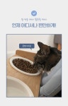 뚜또가또 반려동물 가벼운 넥카라/S XL/동물병원납품 | 돈버는 쇼핑 도매꾹 [도매꾹] 뚜또가또 반려동물 가벼운 넥카라/S XL/동물병원납품