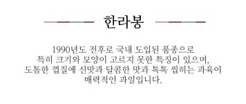 [이푸른] 제주 혼합세트 3kg(레드향+한라봉) - NS홈쇼핑