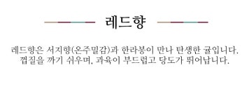 [이푸른] 제주 혼합세트 3kg(레드향+한라봉) - NS홈쇼핑