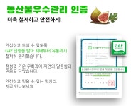 당일수확 해남 홍무화과 1kg | 자연담음 | 꽃피는아침마을
