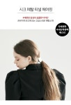 [베스티]시크 메탈 터널 헤어핀 (Chic Metal Tunnel Hairpin) [W CONCEPT]