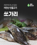 깨끗하게 손질된 자연산 쏘가리 1kg 매운탕소스 증정 | 정옥할매의 시골음식 | 꽃피는아침마을