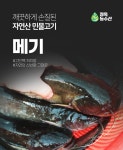 깨끗하게 손질된 자연산 메기 1kg 매운탕소스 증정 | 정옥할매의 시골음식 | 꽃피는아침마을