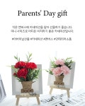 조화 > 가정의달 앙증 카네이션 꽃 캔버스 부모님 어버이날 선물 스승의날 어린이집 답례품 요양원 | 오늘의집 쇼핑 가정의달 앙증 카네이션 꽃... 