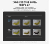 하프클럽 위니아 1등급딤채 스탠드형 김치냉장고 EDQ47JBPIED 457L 