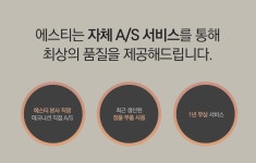 [에스티]에스티 무선 헤어 스트레이트너 블랙 세라믹 [W CONCEPT]