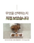 강아지 사료·간식 > 로얄포포리 50g 30포 노령견 습식 사료 강아지 영양식 그레인프리 | 오늘의집 쇼핑 로얄포포리 50g 30포 노령견 습식 사료... 
