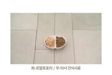 강아지 사료·간식 > 로얄포포리 50g 30포 노령견 습식 사료 강아지 영양식 그레인프리 | 오늘의집 쇼핑 로얄포포리 50g 30포 노령견 습식 사료... 