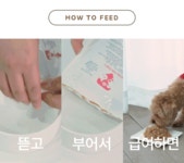강아지 사료·간식 > 로얄포포리 50g 30포 노령견 습식 사료 강아지 영양식 그레인프리 | 오늘의집 쇼핑 로얄포포리 50g 30포 노령견 습식 사료... 