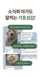 강아지 사료·간식 > 로얄포포리 50g 30포 노령견 습식 사료 강아지 영양식 그레인프리 | 오늘의집 쇼핑 로얄포포리 50g 30포 노령견 습식 사료... 