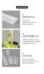 수태봉 플라스틱 지지대 - 마이플랜트