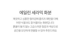 에일린 세라믹 화분 - 마이플랜트