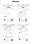 등산·아웃도어 > 스노우누리젠 도시형 시티젠아이젠 눈길 미끄럼방지 등산 | 오늘의집 쇼핑 스노우누리젠 도시형 시티젠아이젠 눈길 미끄럼방지... 