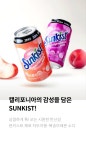 썬키스트 제로 복숭아레몬 소다 600ML 12개상품상세_동원몰