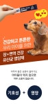 [1300k] SBS TV 동물농장 벨라맥스 유산균 3개 강아지 장 건강 면역력 - NS홈쇼핑