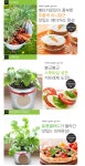 식물 > 컬러키친가든 1+1 봄특가행사 토마토 바질 미니당근 식물재배키트 | 오늘의집 쇼핑 컬러키친가든 1+1 봄특가행사 토마토 바질 미니당근... 