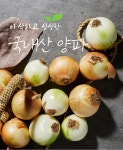쌀·채소 > 무안 황토밭 24년 단단한 국내산 양파 4kg | 오늘의집 쇼핑 무안 황토밭 24년 단단한 국내산 양파 4kg