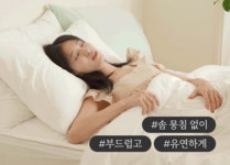 수면공감 [♥사은품증정♥] NEW 알러지케어 사계절 항균 차렵이불 이불 베개 패드 단품/세트 (SS/Q 사이즈)