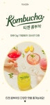 [TEAZEN티젠][정상가42000]티젠 콤부차 30스틱 1+1 택2 (총 60스틱) [W CONCEPT]