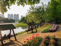 고양국제꽃박람회 - 사진 게시판 - 기글하드웨어