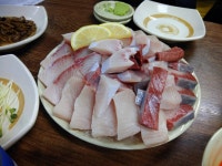 서울 방어 맛집 바다회사랑 후기 + 노량진 방어 이야기 - 커뮤니티 게시판 - 기글하드웨어