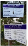 제주도 날씨알려주는 돌 근황 - 커뮤니티 게시판 - 기글하드웨어