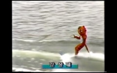 ??? : 누가 나보고 호돌이래? - 커뮤니티 게시판 - 기글하드웨어