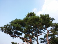 기글 하드웨어 사진 게시판 - G2